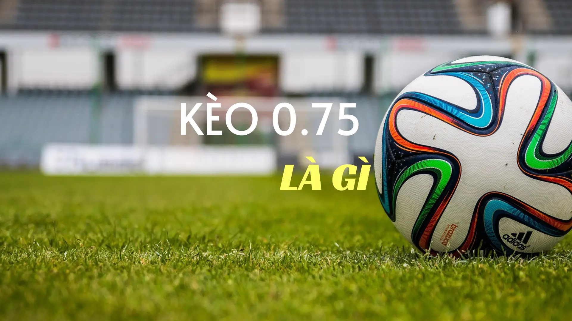 Kèo 0.75 là gì? Hướng dẫn đọc kèo 0.75 và soi kèo 0.75 hiệu quả