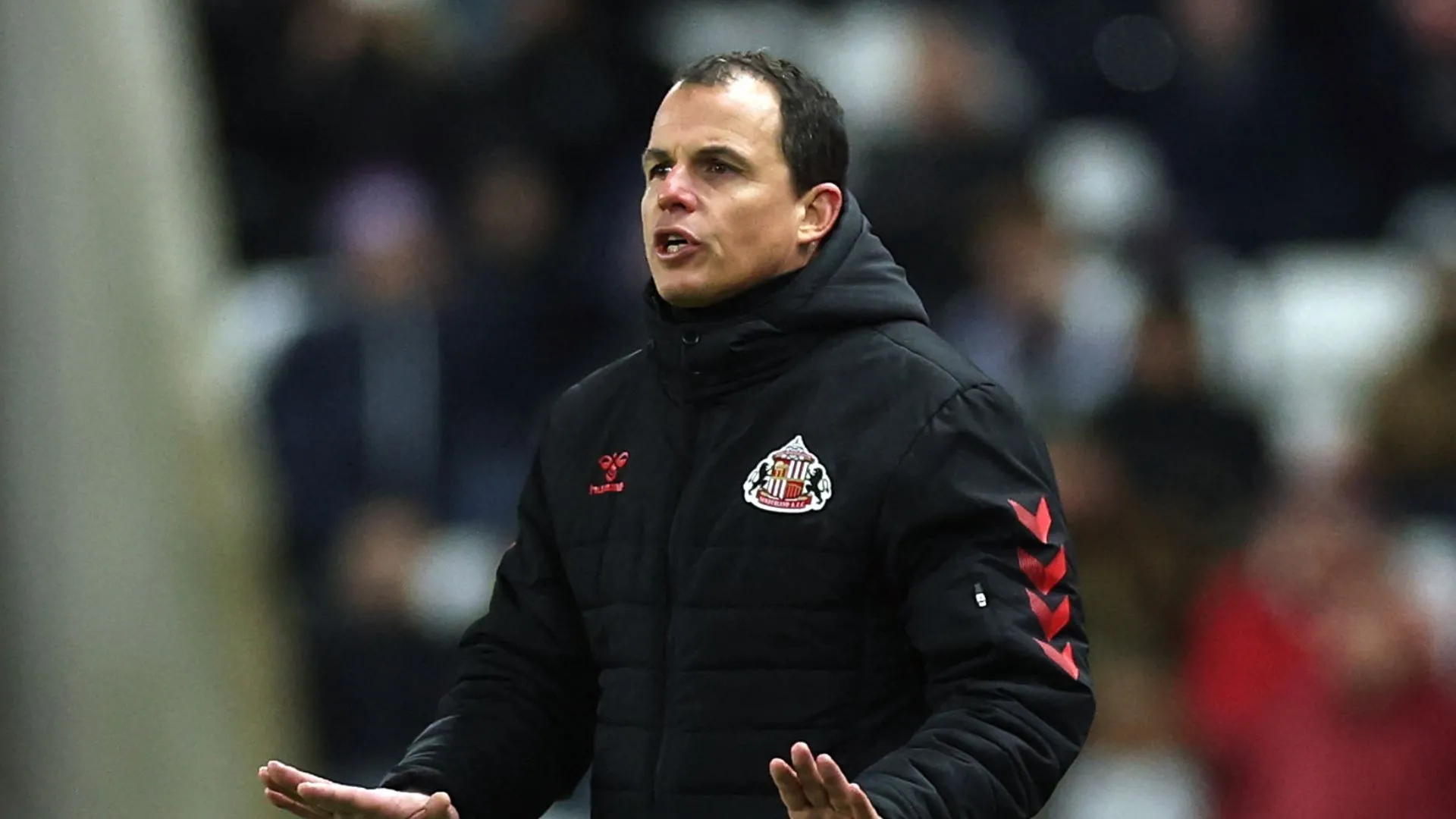 Huấn luyện viên Regis Le Bris của Sunderland trên sân cỏ