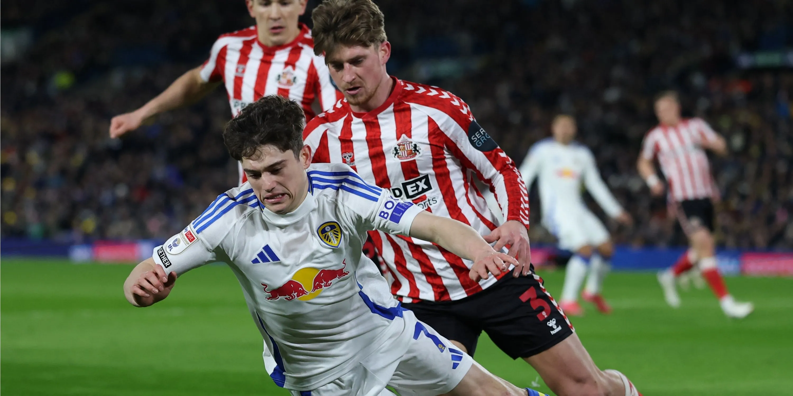 Hậu vệ trái Dennis Cirkin, trụ cột của Sunderland